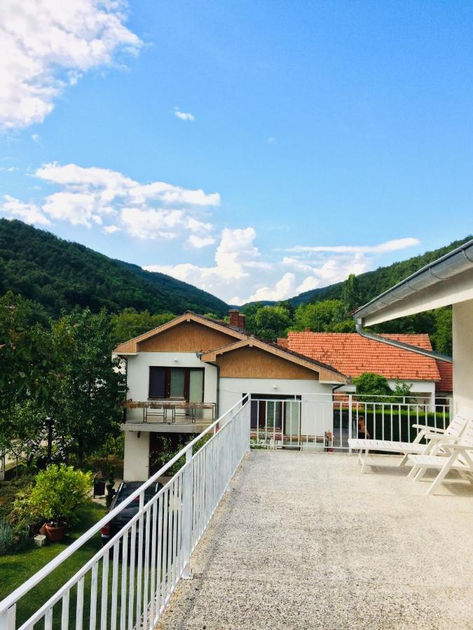 Pretresnja Domacinstvo Trifunovic 아파트 외부 사진